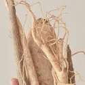 Blithe Vital Treatment 5 Energy Roots esencija su penkių šaknų ekstraktais