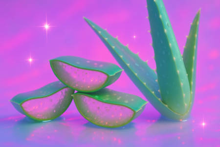Aloe vera kosmetika: kodėl alavijų gelis ir aliejus turėtų atsirasti tavo vonios 