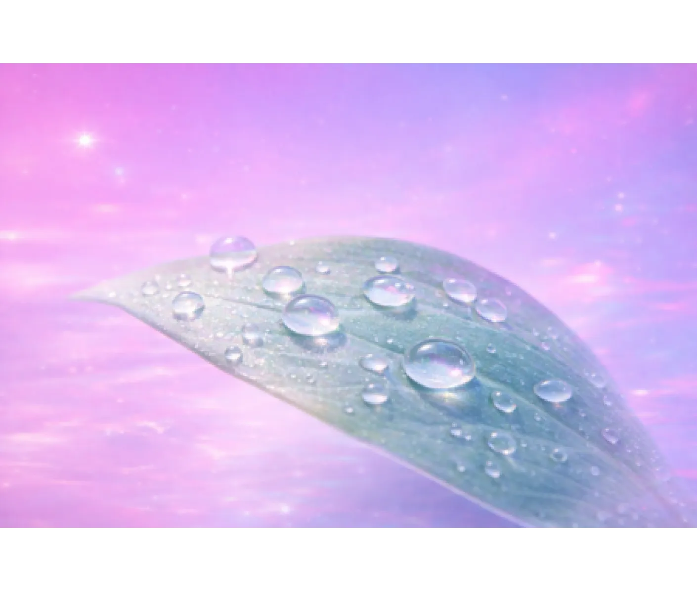 Riebi ir probleminė oda: kokias priemones rinktis, kaip sumažinti spuogus ir susidėlioti veikiančią rutiną