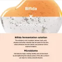 ma:nyo Bifida Biome Concentrate Cream koncentruotas veido kremas