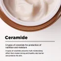 ma:nyo Bifida Biome Concentrate Cream koncentruotas veido kremas