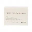 Mizon Phyto Plump Collagen Night Cream naktinis veido kremas su kolagenu