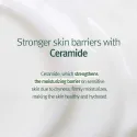 Pyunkang Yul Calming Moisture Barrier Cream raminantis veido kremas