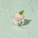 Round Lab Mugwort calming cream raminantis kremas su pelynu