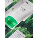 SKIN1004 Madagascar Centella Tea-Trica B5 Cream veido kremas probleminei odai