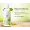 The Saem Healing Tea Garden Green Tea Lip &Eye Remover makiažo valiklis su žaliąja arbata