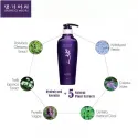Daeng Gi Meo Ri Vitalizing Shampoo atstatantis plaukų šampūnas 300 ml